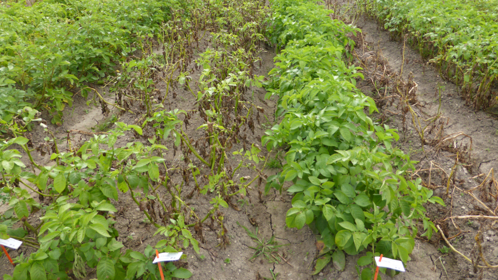 Protected Site, September 2016